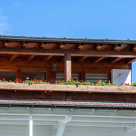 Paulas Koenigscard